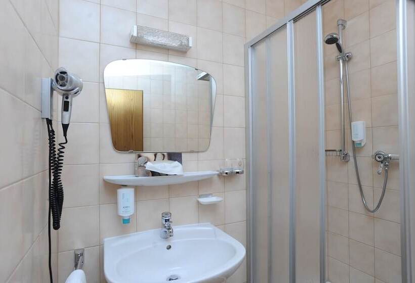 חדר סטנדרט יחיד, Reischenau