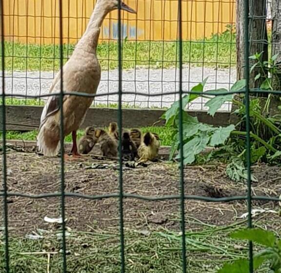 شقة ديلوكس غرفة واحدة, Denggnhof