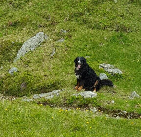 شقة ديلوكس غرفة واحدة, Denggnhof