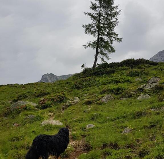 شقة ديلوكس غرفة واحدة, Denggnhof