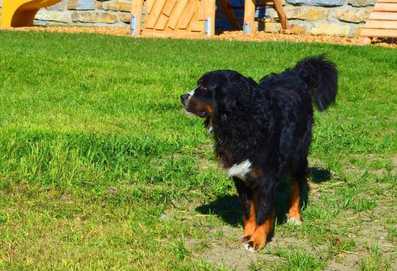 شقة ديلوكس غرفة واحدة, Denggnhof