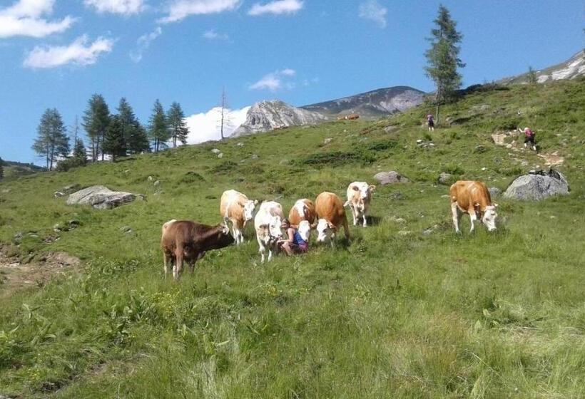 شقة غرفة واحدة ذات إطلالة, Denggnhof