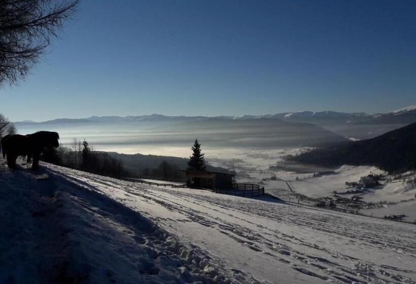 شقة غرفة واحدة ذات إطلالة, Denggnhof