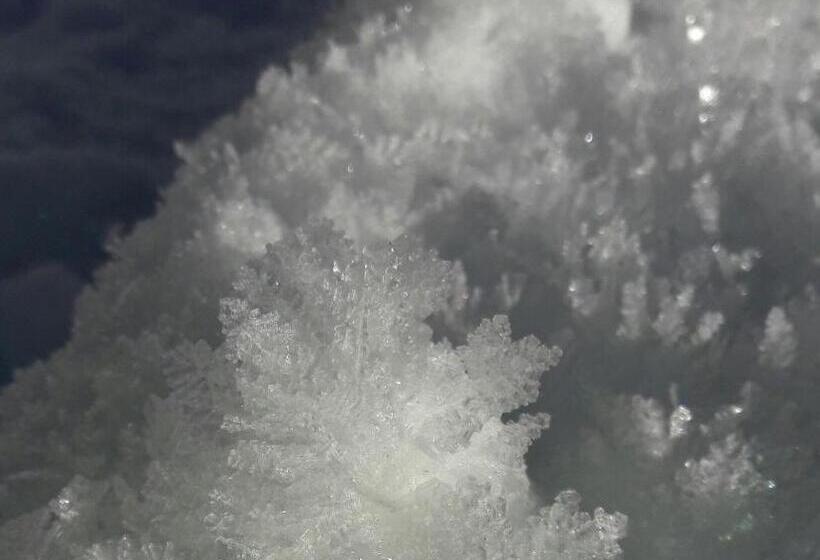 شقة غرفة واحدة ذات إطلالة, Denggnhof