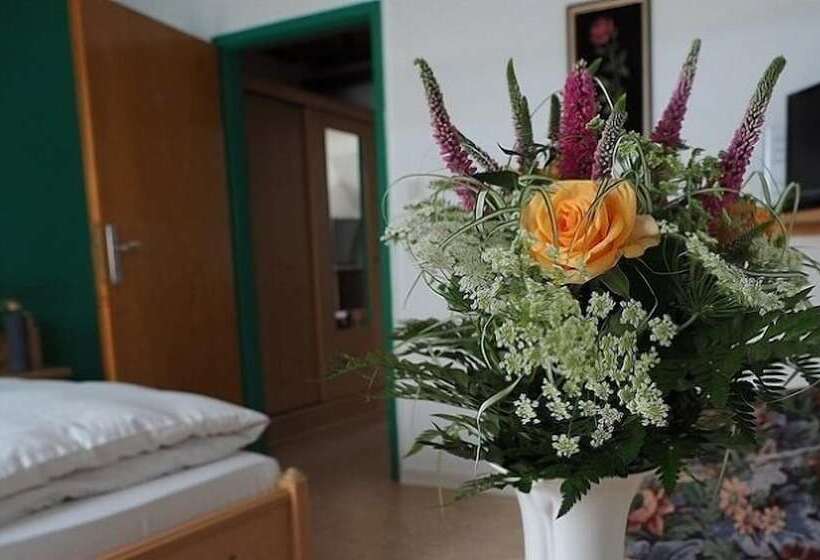 Апартаменты Basic 1 Спальня, Ferienhof Meyer