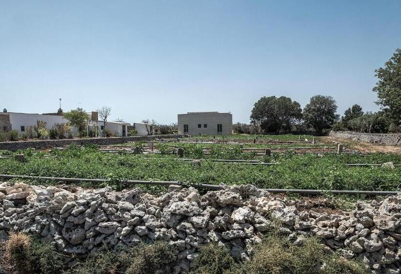 استودیو استاندارد با چشم‌انداز باغ, Masseria Berzario