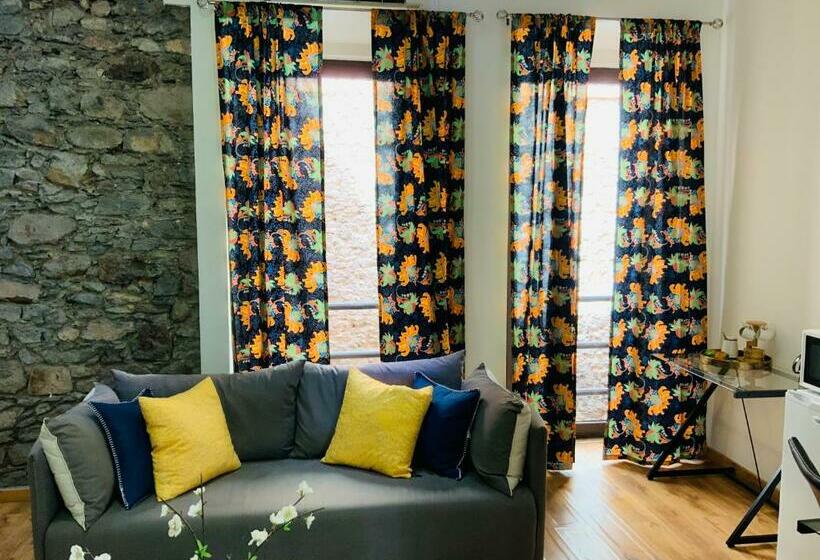 اتاق استاندارد, Techas City Center Luxurious Suite