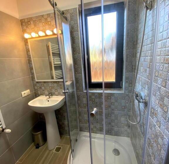 スタンダードシングルルーム, Pensiunea Maramures Guesthouse