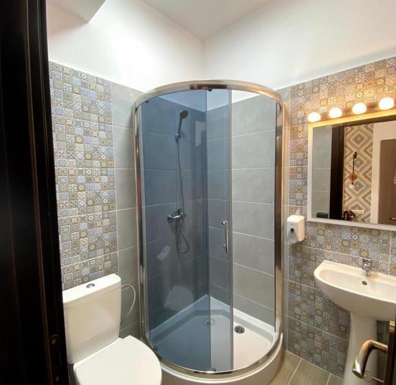 スタンダードルーム, Pensiunea Maramures Guesthouse