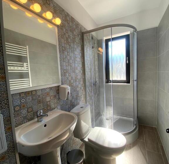 스탠다드 룸, Pensiunea Maramures Guesthouse