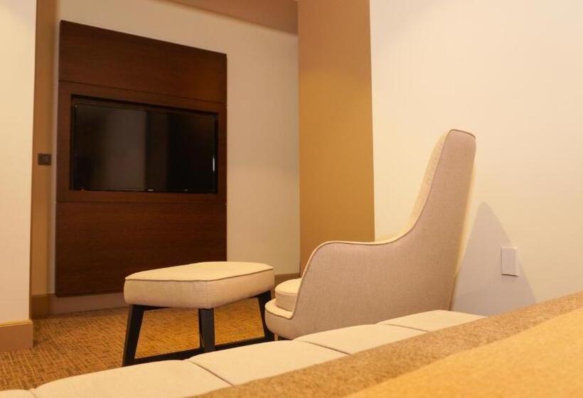 スーペリアールーム, Selini Hotel İstanbul Airport