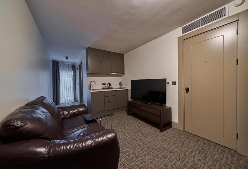 スーペリアールーム, Selini Hotel İstanbul Airport