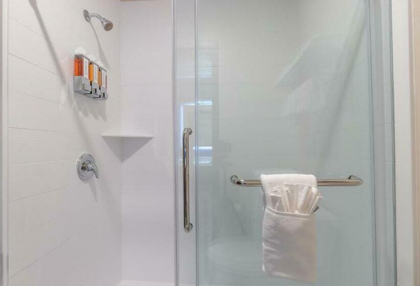 带大床的标准间, Scenic View Inn & Suites Moab