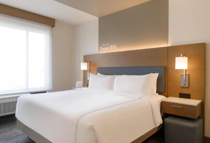 适合残疾人士使用的套间, Staybridge Suites Rochester   Mayo Clinic Area, An Ihg