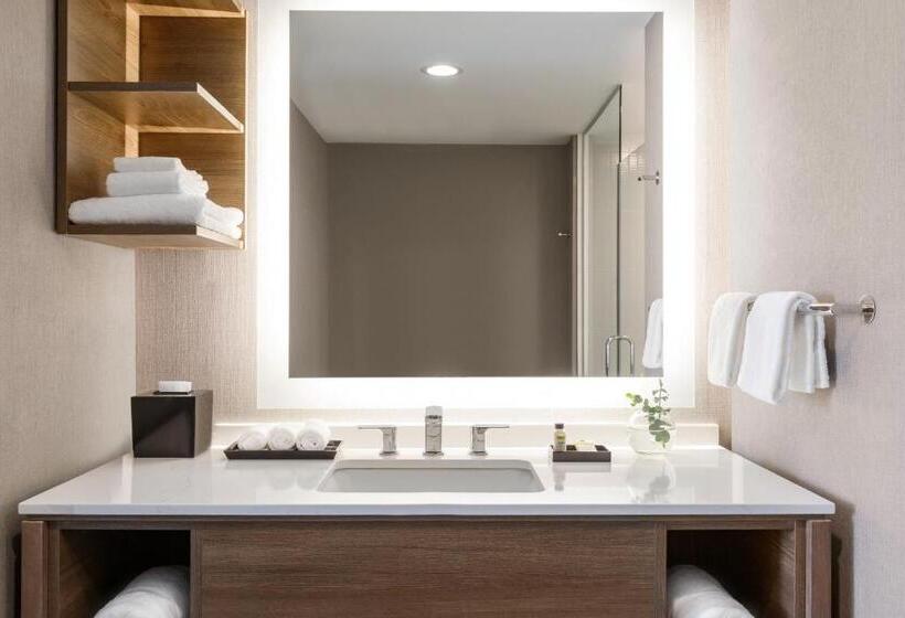 适合残疾人士使用的套间, Staybridge Suites Rochester   Mayo Clinic Area, An Ihg