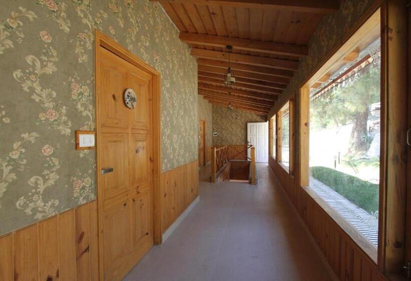 Family Room, The Nature S Green Resort, Bhimtal, Nainital