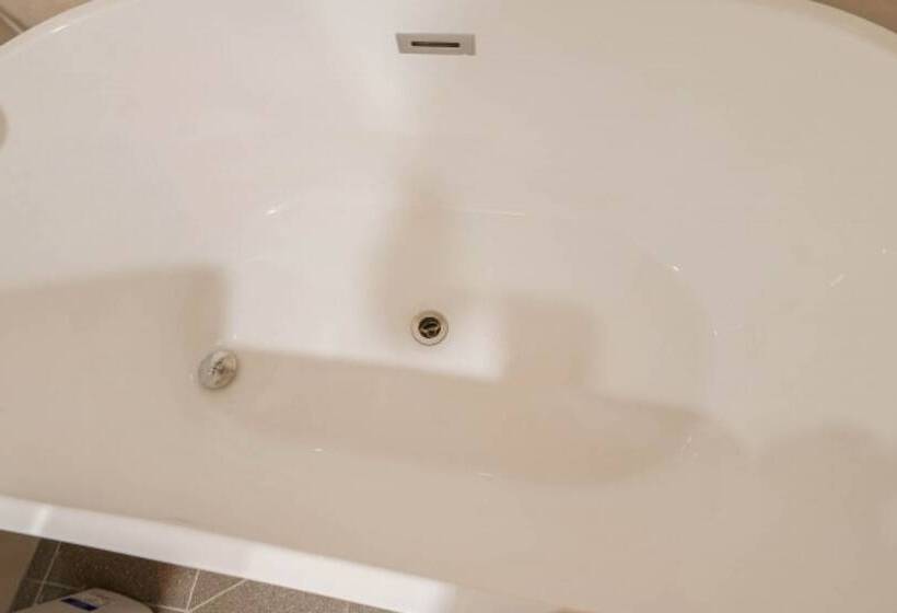 اتاق استاندارد, The Stone Bridge Hotel Dongnae