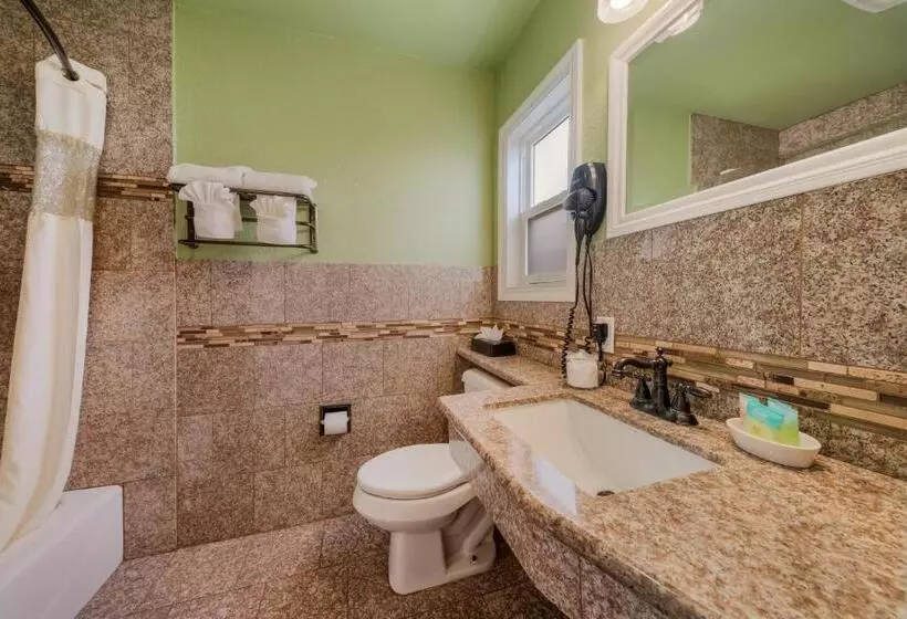 اتاق استاندارد با تخت بزرگ, Carmel Inn & Suites