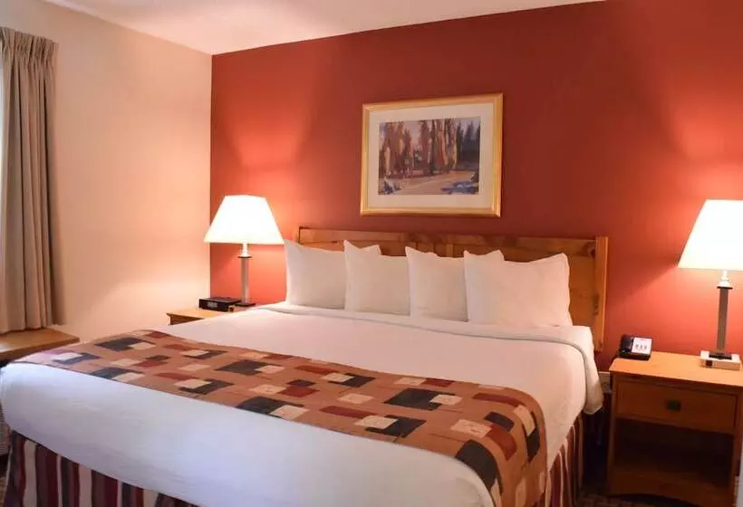 استودیو استاندارد با تخت کینگ, Cresthill Suites Syracuse