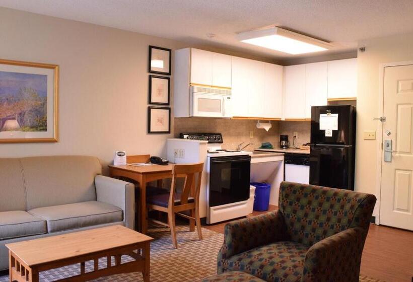 Студио Стандарт Кровать Кинг, Cresthill Suites Syracuse