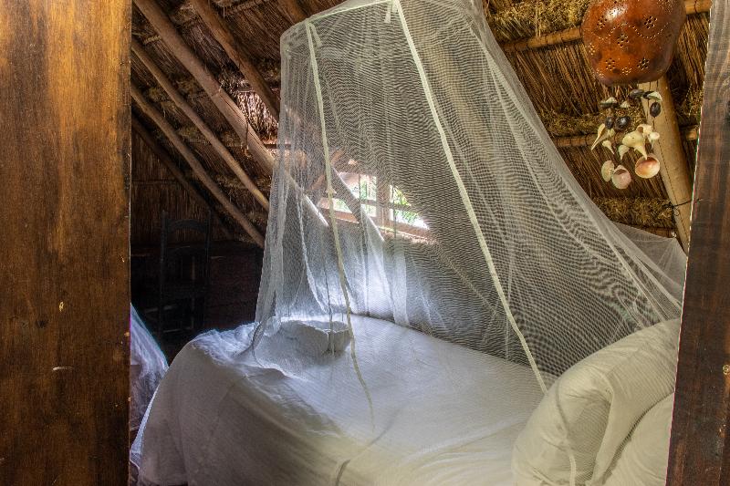 スーペリアールーム, Crystal