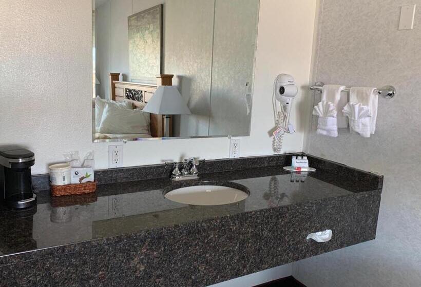 디럭스 스위트, Fairbridge Inn & Suites Williston