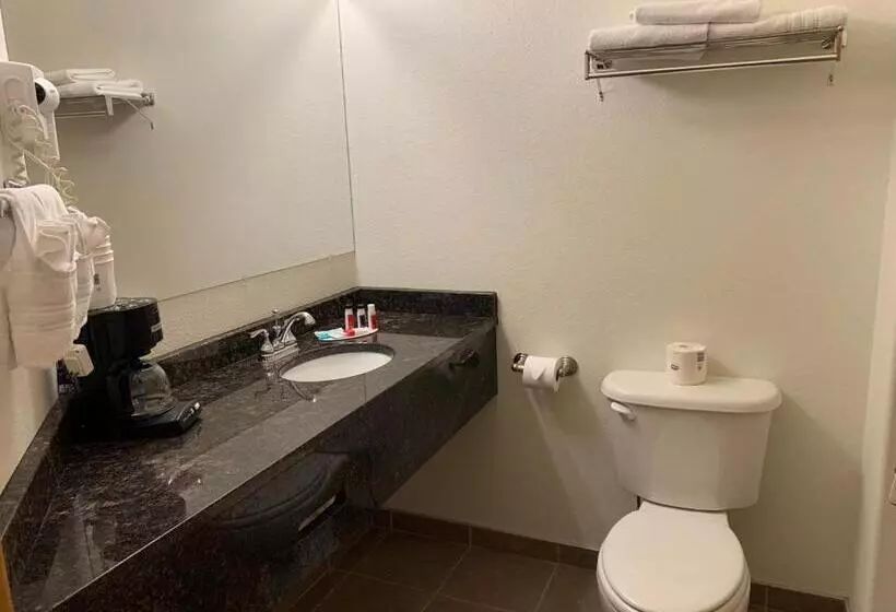 اتاق استاندارد برای معلولان, Fairbridge Inn & Suites Williston