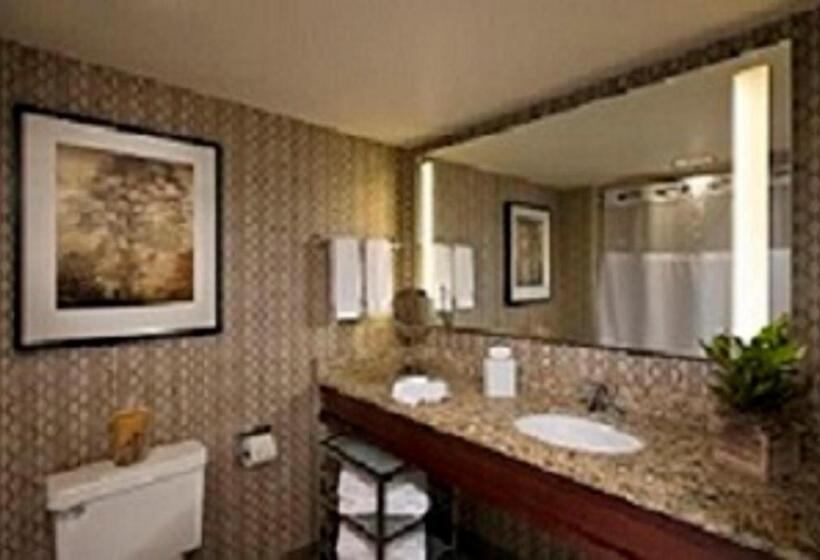 إستوديو قياسى سرير كينج, Eaglewood Resort & Spa