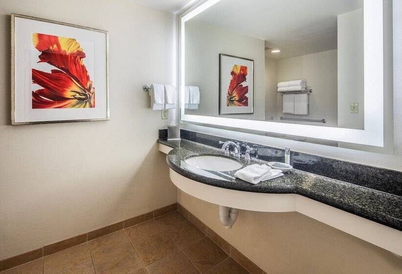 带2个双人床的标准工作室, Gaylord Palms Resort & Convention Center