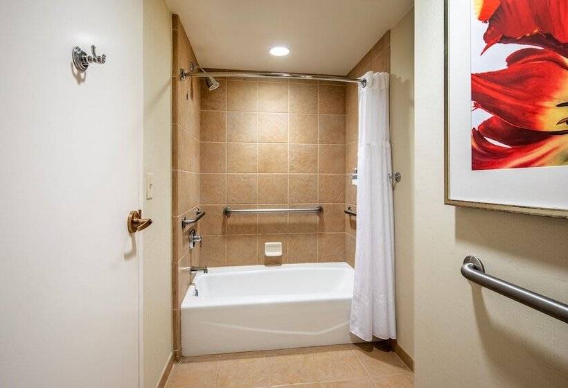 带2个双人床的标准工作室, Gaylord Palms Resort & Convention Center