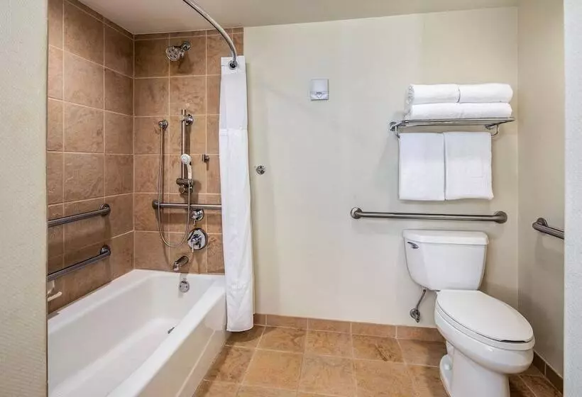 اتاق استاندارد با 2 تخت دوبل, Gaylord Palms Resort & Convention Center