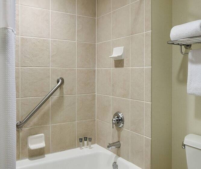 带2个双人床的标准工作室, Gaylord Palms Resort & Convention Center