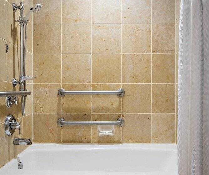 带2个双人床的标准工作室, Gaylord Palms Resort & Convention Center