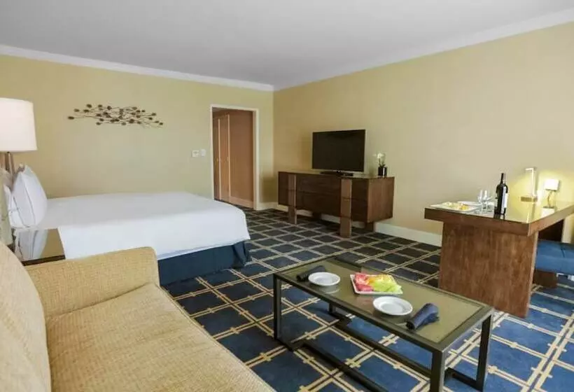 سوئیت برای معلولان, Grand