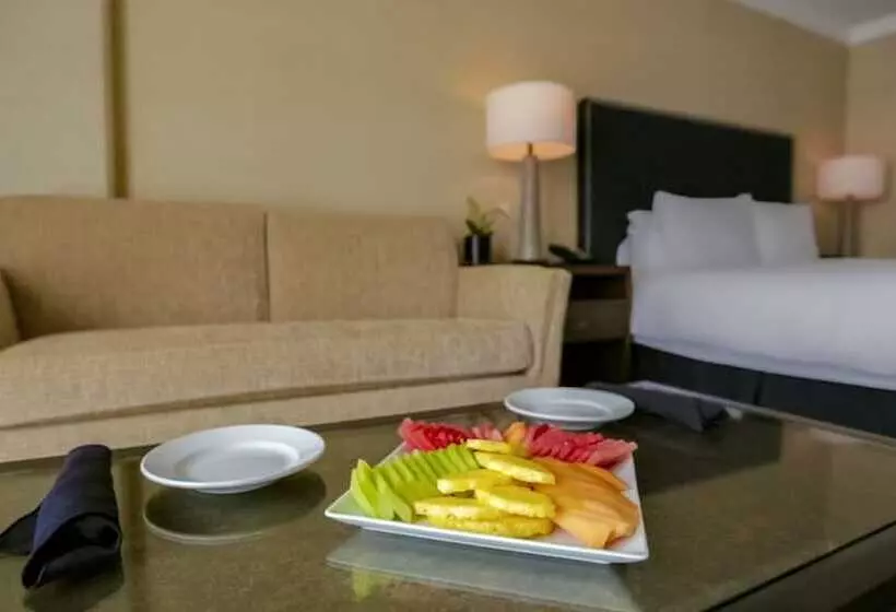 سوئیت برای معلولان, Grand