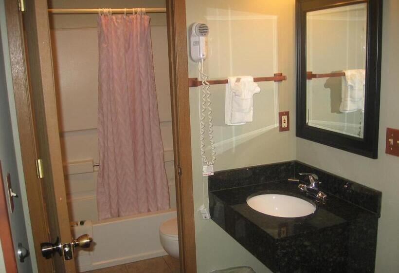 اتاق استاندارد با تخت بزرگ, New Summit Inn
