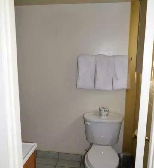 اتاق لوکس با تخت بزرگ, Stanlunds Inn And Suites