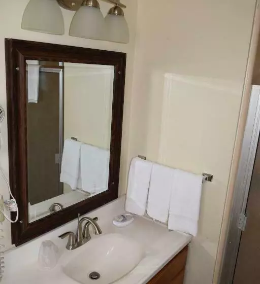 اتاق لوکس با تخت بزرگ, Stanlunds Inn And Suites