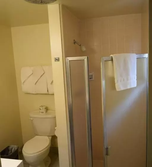 اتاق استاندارد با تخت بزرگ, Stanlunds Inn And Suites
