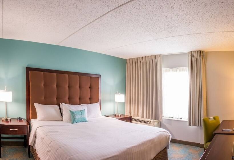 سوئیت پریمیوم, The Inn At Saint Mary's