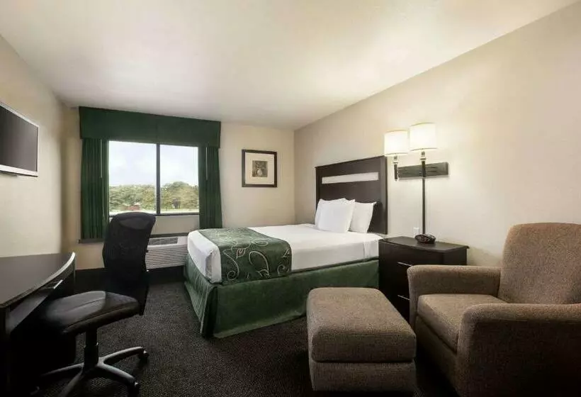 スタンダードルーム, Value Inn Livonia