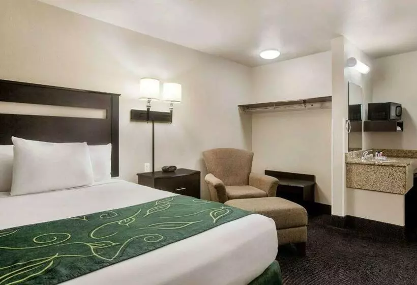 スタンダードルーム, Value Inn Livonia