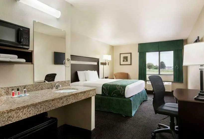 スタンダードルーム, Value Inn Livonia