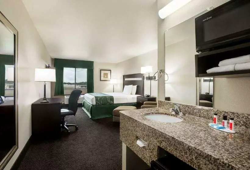 スタンダードルーム, Value Inn Livonia