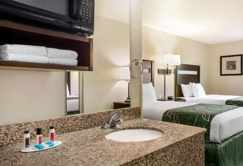 障害者適応デラックスルーム, Value Inn Livonia