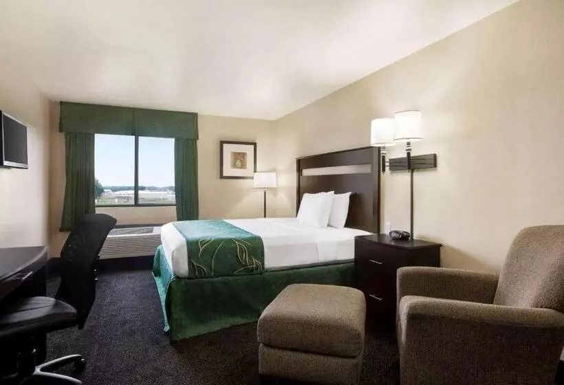 身障者適用キングサイズベッドルーム, Value Inn Livonia