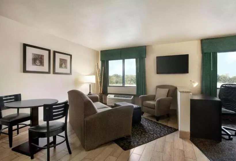 キングサイズベッドのデラックススイート, Value Inn Livonia
