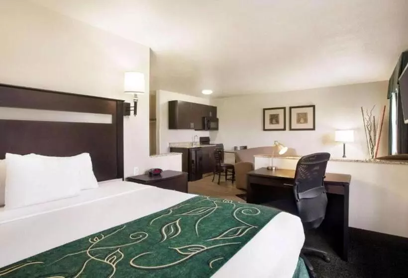 キングサイズベッドのデラックススイート, Value Inn Livonia