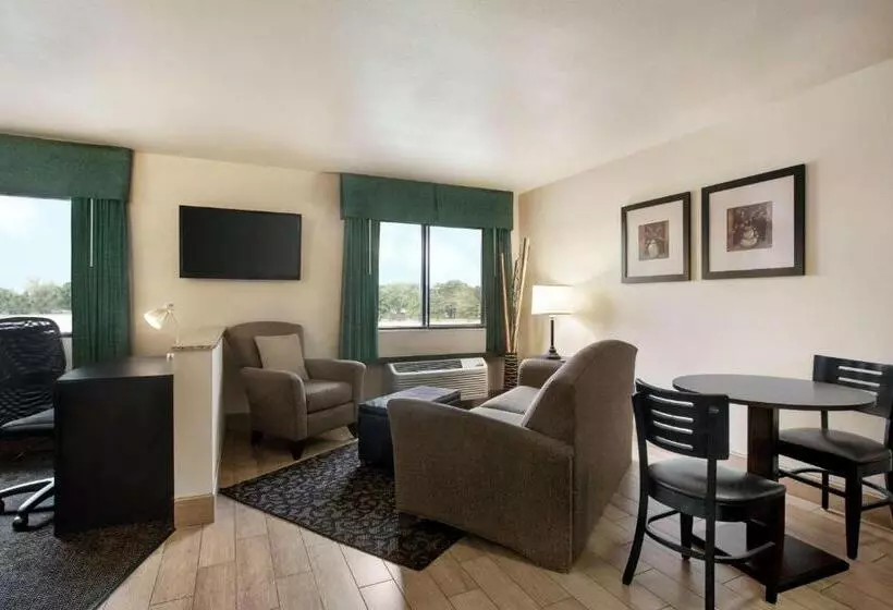 キングサイズベッドのデラックススイート, Value Inn Livonia