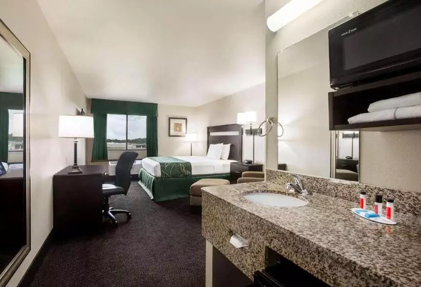 キングサイズベッドのデラックススイート, Value Inn Livonia